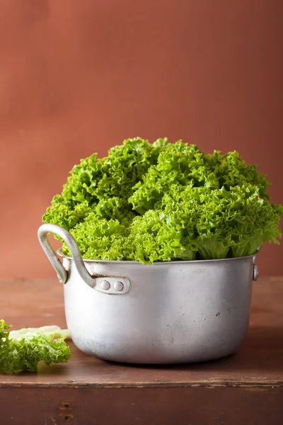 Fresh lettuce leaves in casserole — Stock Photo, Image