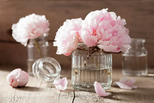 Vacker rosa pion blommor bukett i vas — Stockfoto