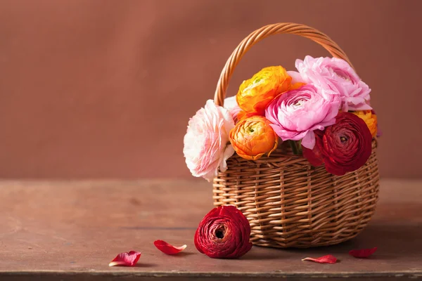バスケットの美しいラナンキュラスの花 — ストック写真