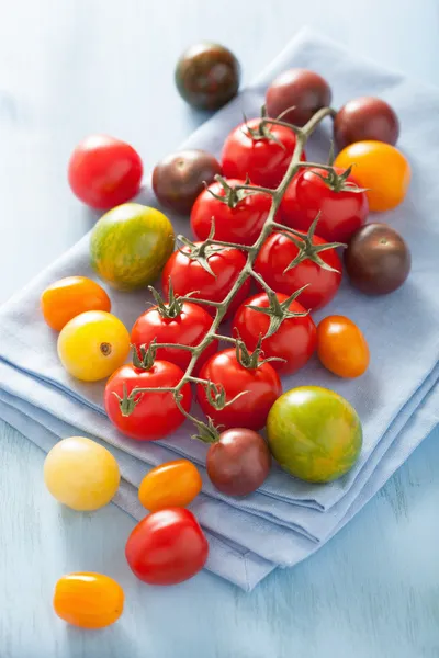 블루 냅킨 위에 다채로운 토마토 — 스톡 사진