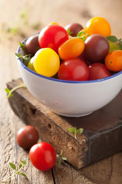 Barevné rajčata v misce — Stock fotografie