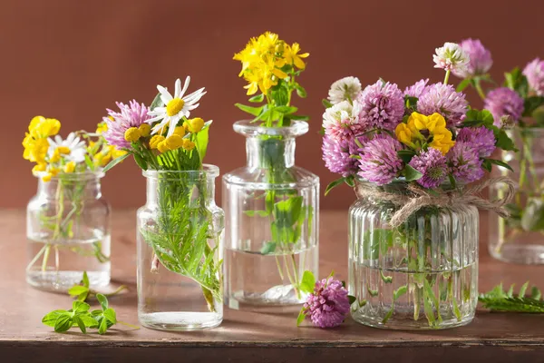 Fleurs médicales colorées et herbes en bouteilles — Photo