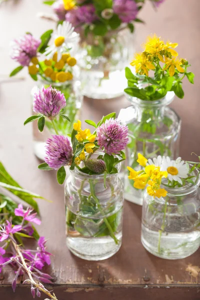 Kolorowe kwiaty medycznych i zioła w butelkach — Zdjęcie stockowe