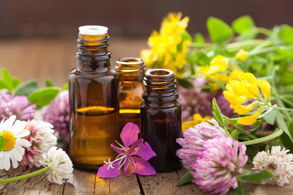 Aceites esenciales y hierbas medicinales Imagen de stock