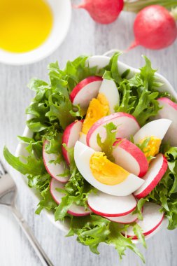 yumurta turp ve yeşil yaprakları ile sağlıklı salata