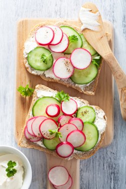 turp salatalık ve krem peynir ile sağlıklı sandviç