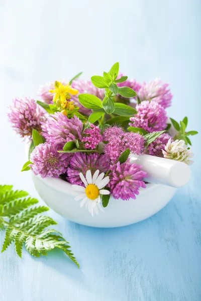 Coloridas flores y hierbas medicinales en mortero —  Fotos de Stock