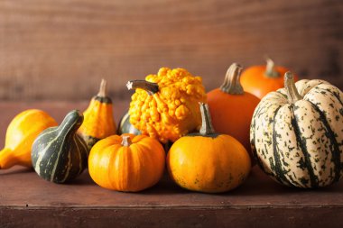 ahşap zemin üzerinde dekoratif mini kabaklar 