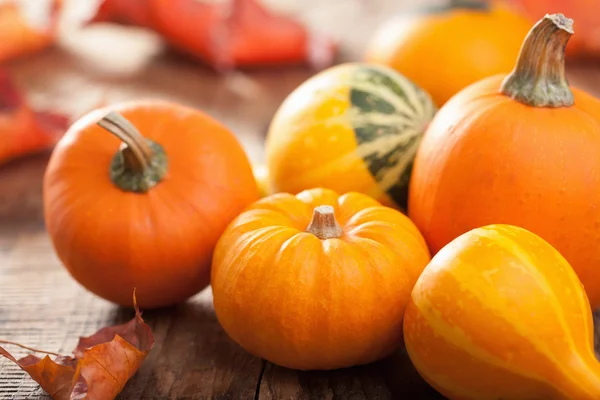 Mini calabazas decorativas sobre fondo de madera — Foto de Stock