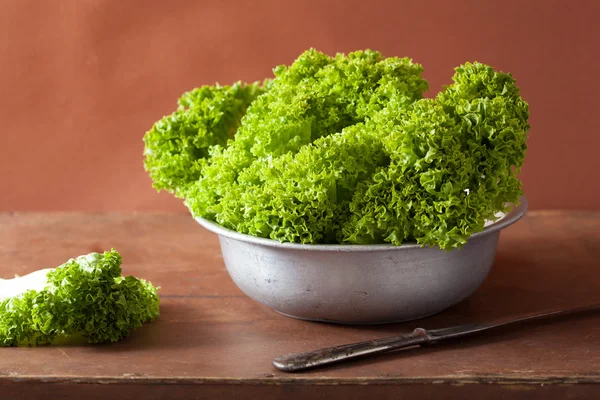 Färska salladsblad i skål — Stockfoto