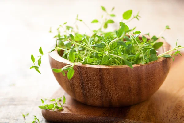 Frisches Thymiankraut in Holzschale — Stockfoto