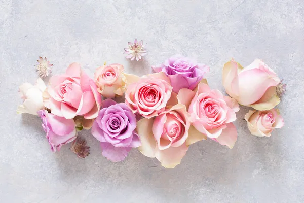 Beautiful Pink Rose Flowers Background — Stock Photo, Image