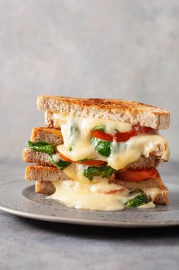 Izgara peynirli ıspanak ve domatesli sandviç.