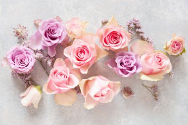 Güzel pembe gül çiçekleri arka plan