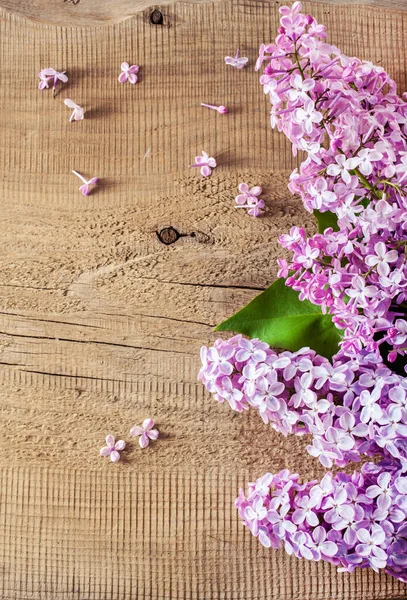 Beautiful Lilac Flowers Wooden Background — Stock Photo, Image