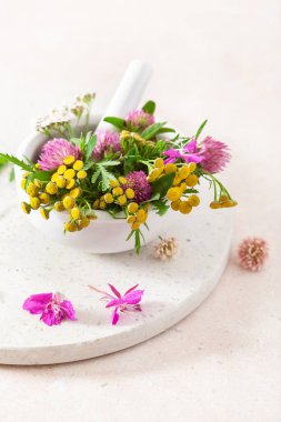 Tıbbi bitkiler havanda. Clover Milfolyo tansy Rosebay. sağlıklı doğal yaşam tarzı