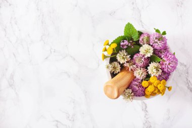 Tıbbi bitkiler havanda. Alternatif tıp Yonca tansi kekik Melissa.