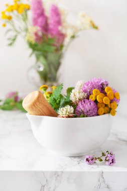 Tıbbi bitkiler havanda. Clover Milfolyo tansy Rosebay. sağlıklı doğal yaşam tarzı