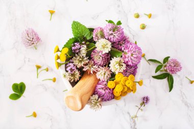 Tıbbi bitkiler havanda. Alternatif tıp Yonca tansi kekik Melissa.