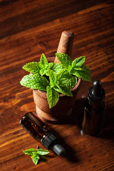 Fresh Mint Peppermint Herb Leaves Mortar Essential Oil Dropper Bottles — Stockfoto