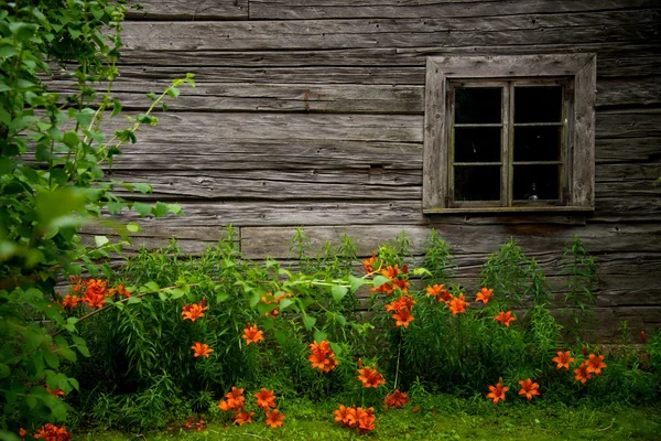 Old rural wooden house — Stock Photo, Image