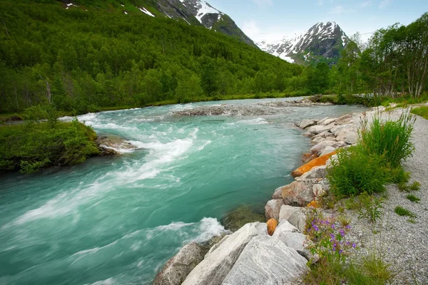 Snabb flod i ett berg — Stockfoto