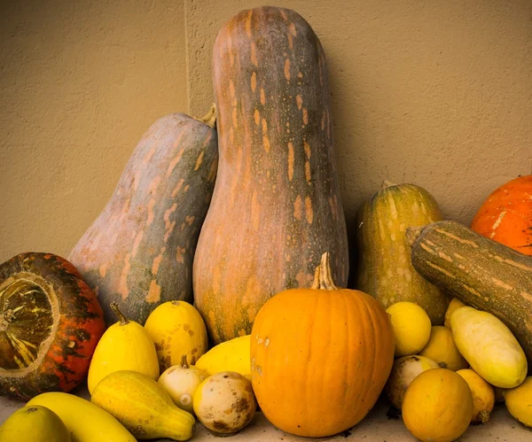 Legumes ainda vida — Fotografia de Stock