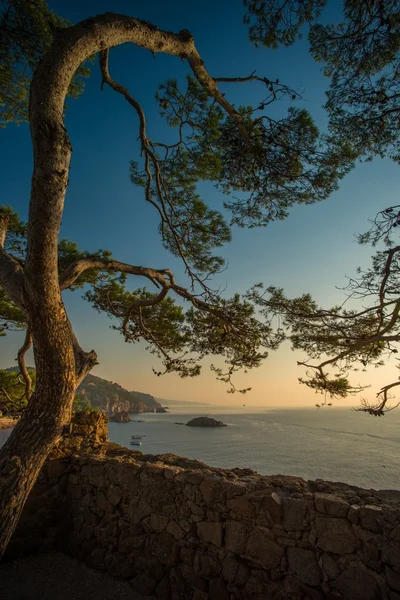 Tengerre néző Vila Vella, Tossa de Mar — Stock Fotó