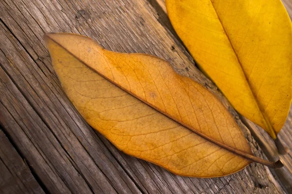 Foglie autunnali su fondo di legno — Foto Stock