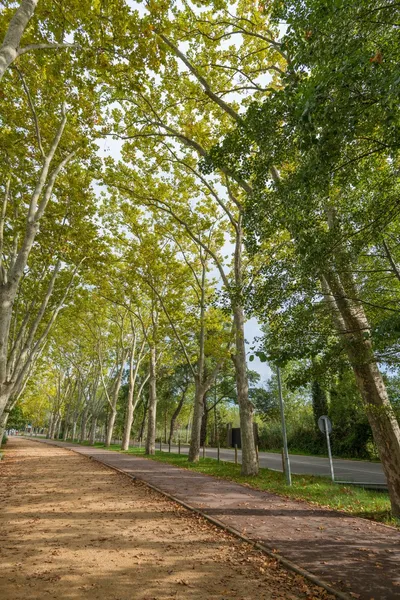 Όμορφο πεζόδρομο άποψη ηλιόλουστη ημέρα — Φωτογραφία Αρχείου