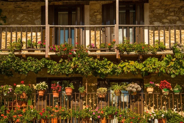 Balkon mit vielen Blumentöpfen — Stockfoto