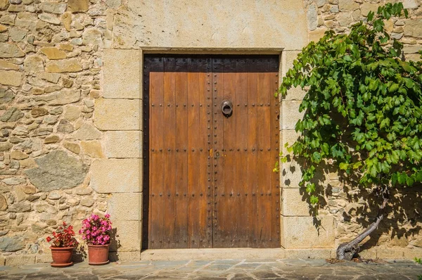 Building entrance with tree growing near it — Stock Photo, Image