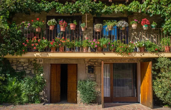 :Будівельний фасад з великою кількістю квіткових горщиків — стокове фото