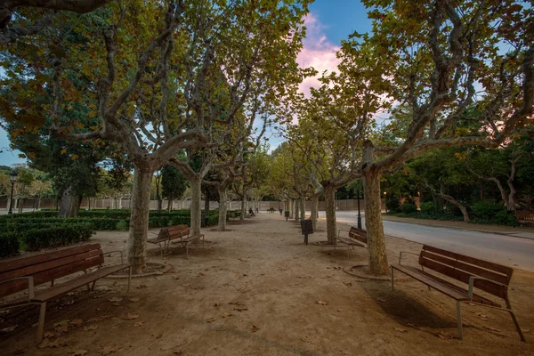 Lavičky v krásném parku v Barceloně, Španělsko — Stock fotografie