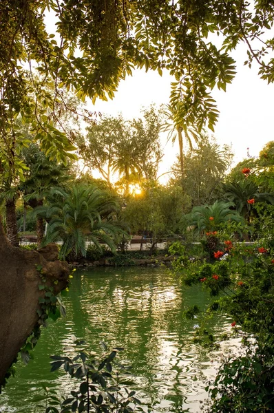 Exotiska pund i sunset park — Stockfoto