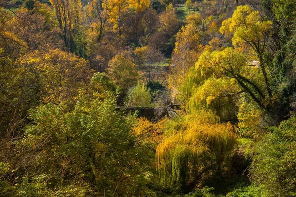 Vieux pont dans le paysage d'automne — Photo