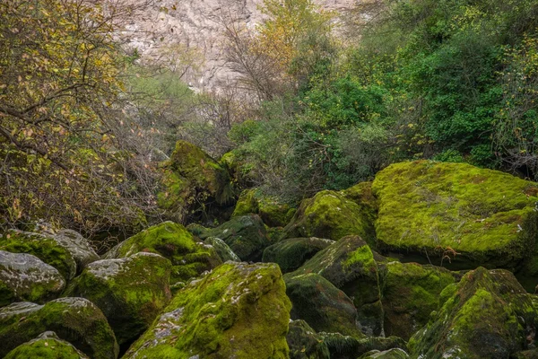 Visa med moss-grown stenar — Stockfoto