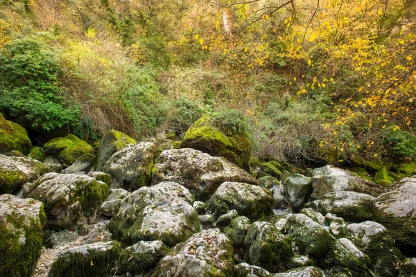 Moss-grown 岩石的视图 — 图库照片