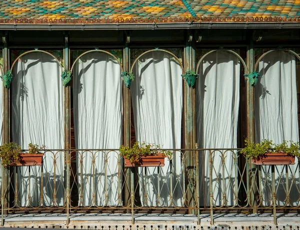 Vasos de flores na janela — Fotografia de Stock