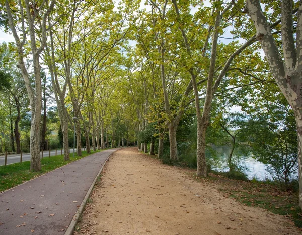 Bella vista sulla passerella sul lago — Foto Stock