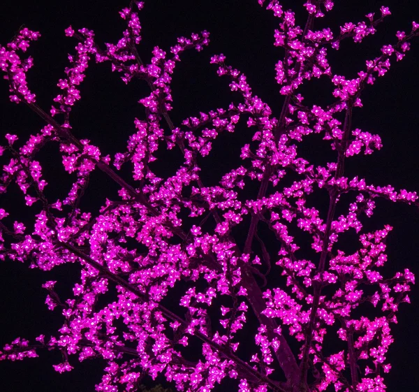 Baum mit Lichterketten geschmückt — Stockfoto