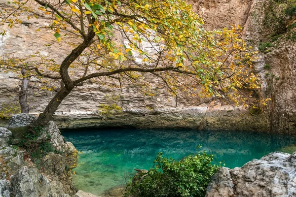 Красивый пруд с чистой водой — стоковое фото