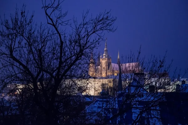 St. Vitus cathedral at night — Stock Photo, Image