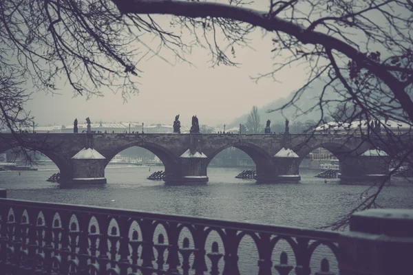 Charles bridge in Prague — Stock Photo, Image