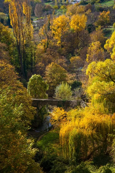 Vieux pont sur la rivière en automne paysage — Photo