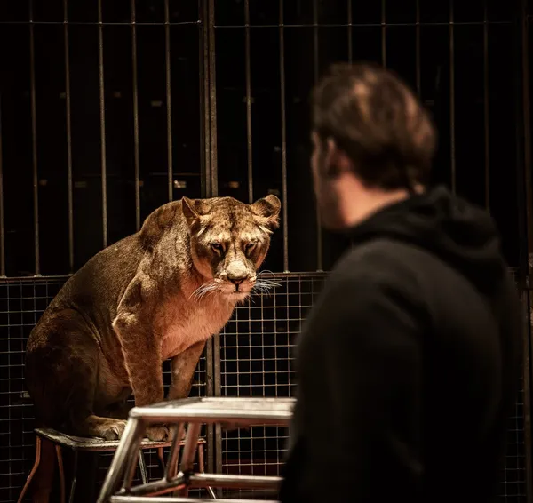 Tamer y leona en la arena del circo — Foto de Stock