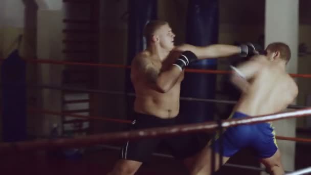 Dos hombres peleando en el ring — Vídeos de Stock