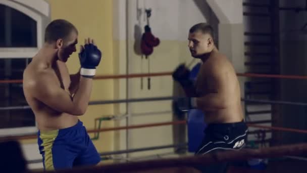 Dois homens lutando no ringue — Vídeo de Stock