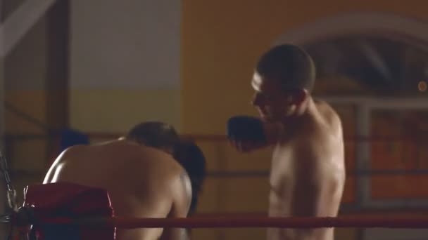 Двое мужчин спаррингуют на ринге — стоковое видео