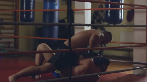 Two men sparring on ring — Stock Video